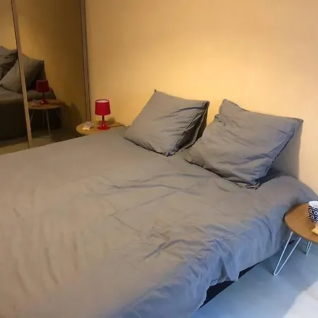 Apartment F3 - Neuf - 4/6 P - Lits King Size - Wifi - Cour Le Puy-en-Velay